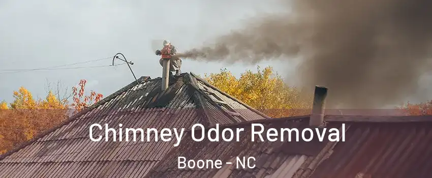  Chimney Odor Removal Boone - NC